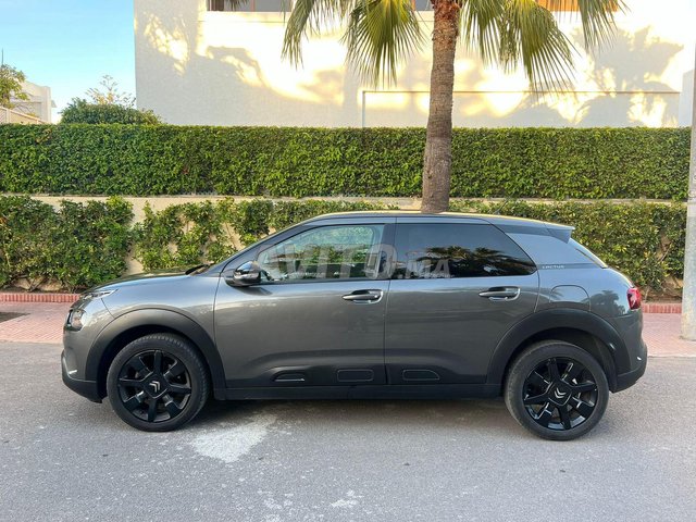 Citroen C4 CACTUS occasion Diesel Modèle 2020