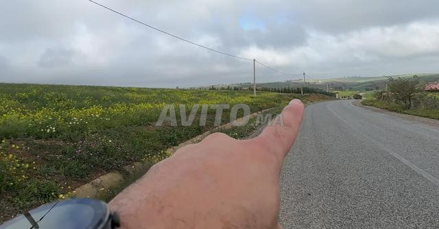 هكتاران على الشارع محفضة وبئر 