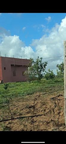 هكتار وسبعة خدامة محفضة على الشارع منزل