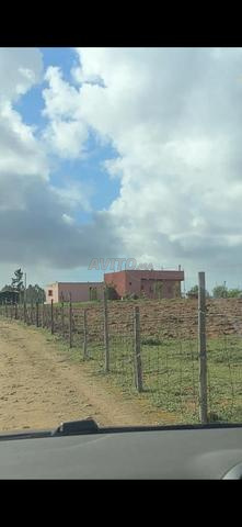 هكتار وسبعة خدامة محفضة على الشارع منزل - 2