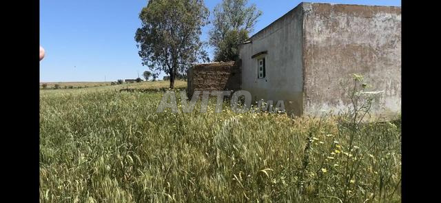 هكتاران و2000متر محفضة وبئر قريبة من مدينة