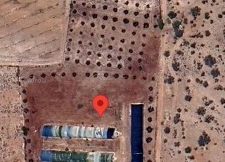 أرض فلاحية مع منزل و أشجار زيتون و ثلاث إسطبل دجاج