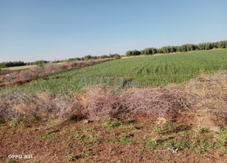  أرض فلاحية بسوق السبت أولاد النمة