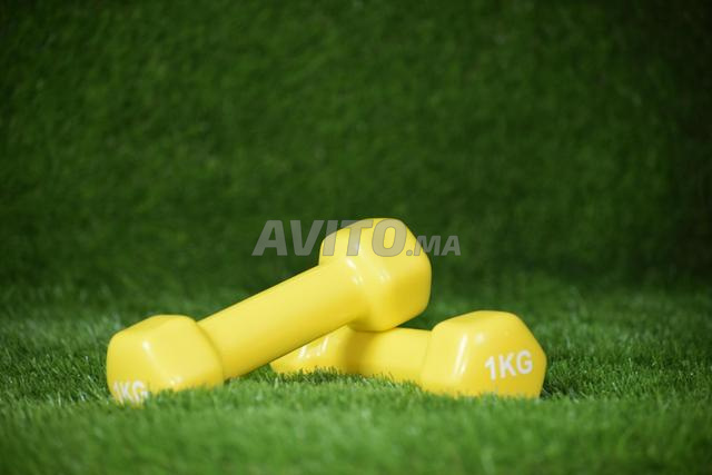 Haltères en vinyl paire