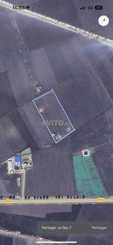 22470 م² في أولاد سعيد برشيد - 2