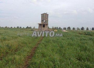 22470 m² à Ouled Said Berrechid