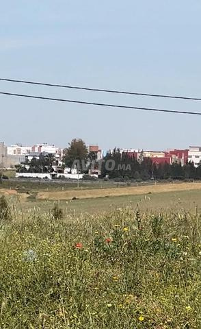 هكتار وسبعة خدامة محفضة 1كم من مدينة همزة