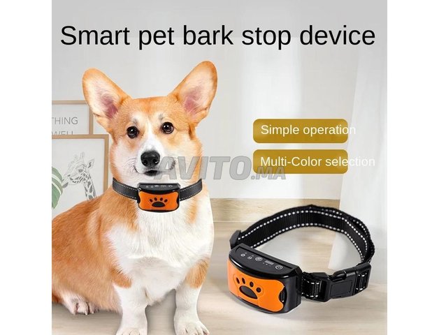 Collier électrique anti-aboiement pour chien 