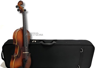 Sonata Violon Acoustique Pro 4/4 bois avec Valise