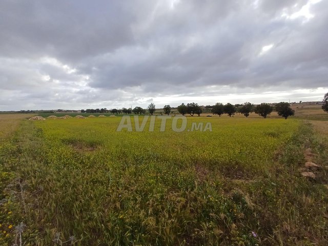 Terrain 4 600 metr en vente route de had hrara 