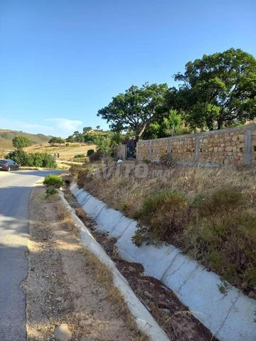 terrain de 615m2 sidi kankouch route melloussa