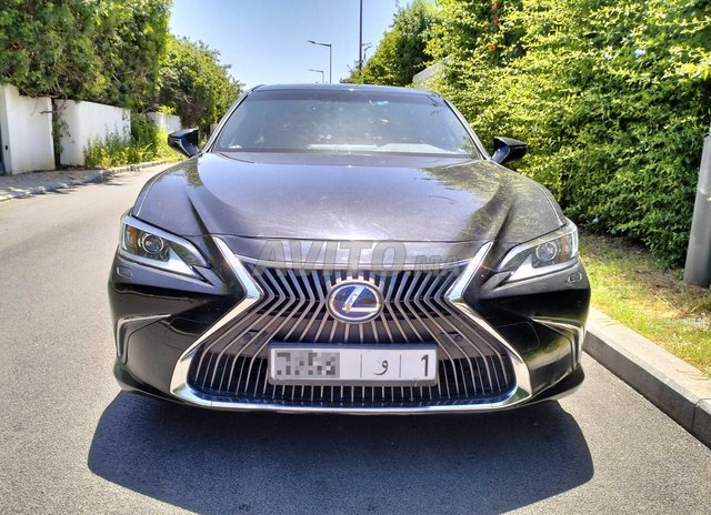 Lexus es occasion Hybride Modèle 2019