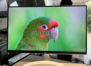 Lg 27 LED IPs 4k gaming 