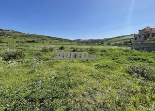 Terrain villa plage sidi kankouch