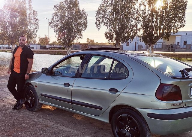 Renault Megane occasion Diesel Modèle 2002