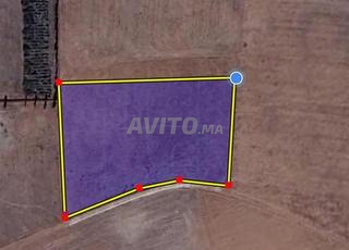 قطعة أرضية 3000 متر بي لغديرة البئر الجديد