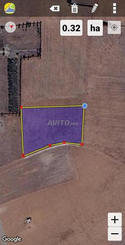 Terrain de 3000 mètres à Lghedira Bir Jdid