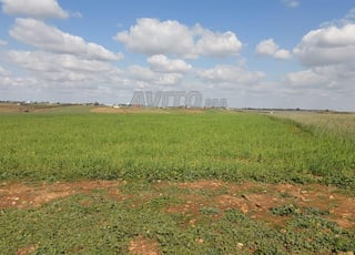 Ter titre 12000m2 om sallat kamouni