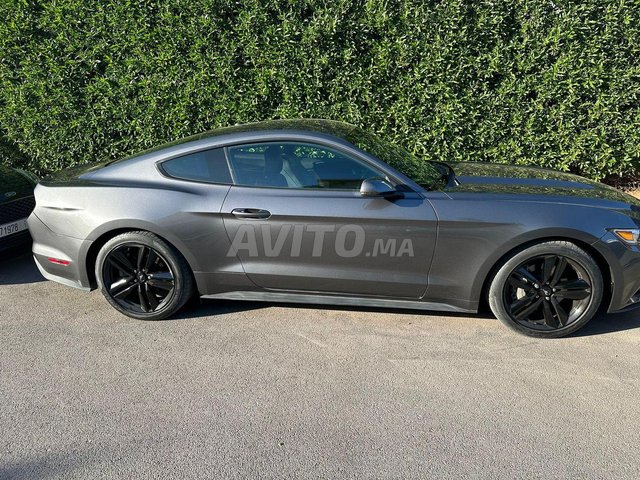Ford Mustang occasion Essence Modèle 2015