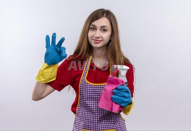 Agence femme de ménage cuisinière nounou 