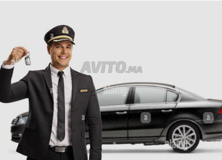 Chauffeur professionnel 