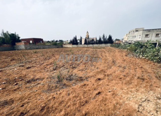 Terrain à vendre Ouled Slama Sidi Ayach