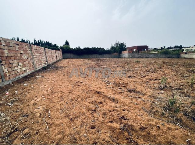 أرض للبيع ولاد سلامة سيدي عياش - 2