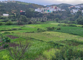 Ferme avec maison et terrains