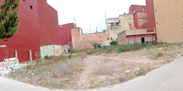 Terrain  a vendre a temara 