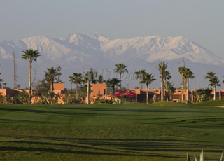 Des terrains SD1 à vendre à Marrakech 