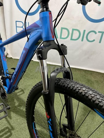 VTT Orbea MX 50 Avito.ma