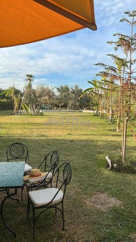 Terrain avec petite villa melkia verdure piscine