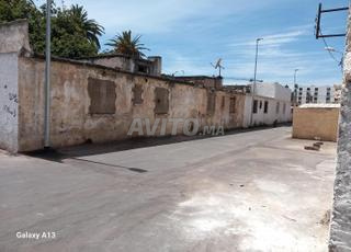 Terrain de 376 m2 à ain Borja à vendre 