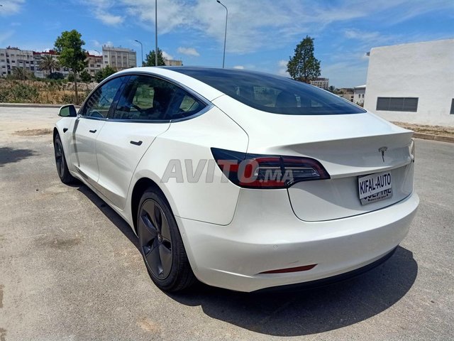Tesla Model 3 occasion Electrique Modèle 2020