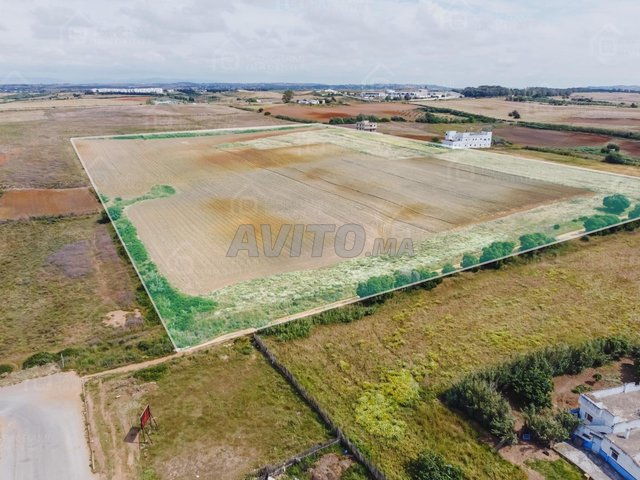 Terrain de 5 Hectares à vendre à Asilah