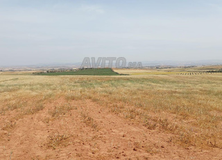 Ter titre 25ha ait wahhi Tiflet