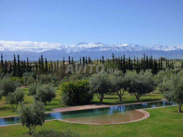 5 hectares GH1 à vendre derrière Golf Argan