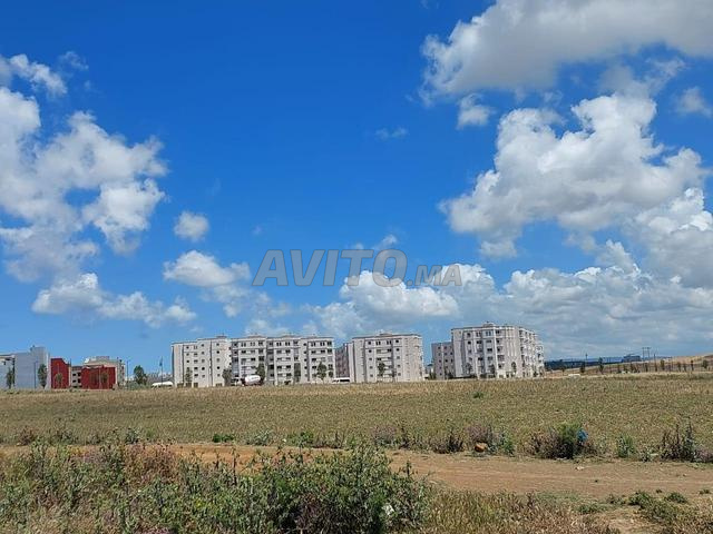 أرض 2 هكتار منطقة عمارات مرجان طريق الرباط