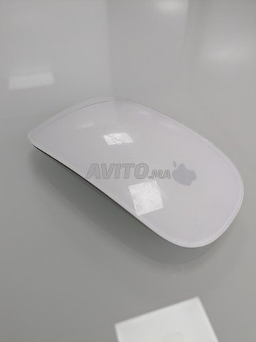 Magic mouse 1 