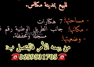 TERRAIN DE 7 HECTARES EN VENTE A MEKNES