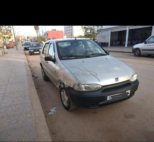 fiat palio  