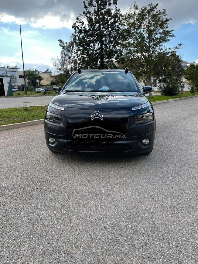 C4 cactus à vendre 