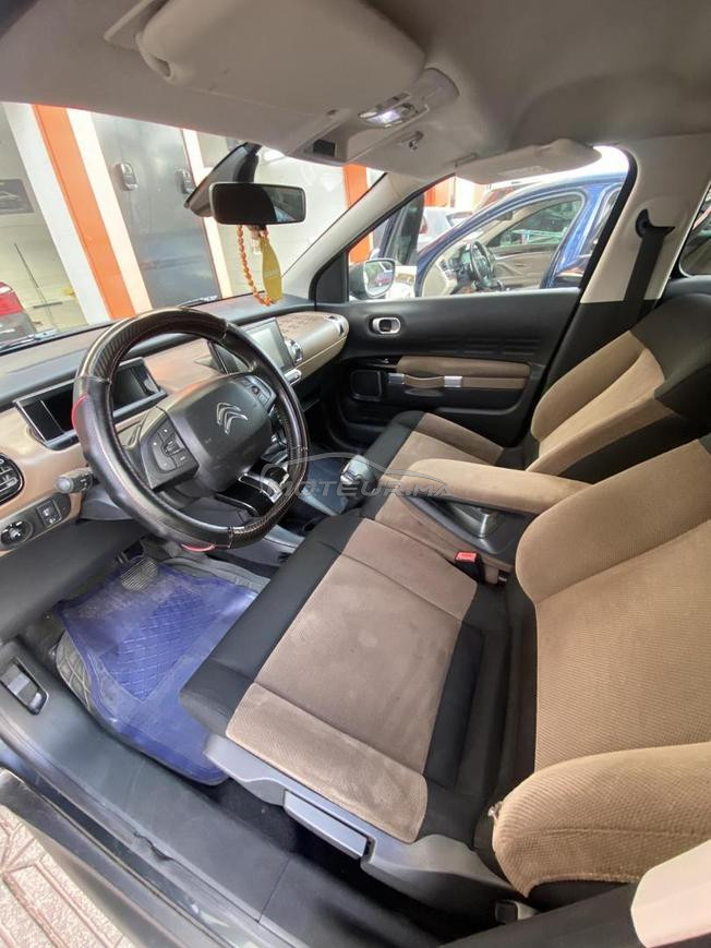 C4 cactus à vendre 