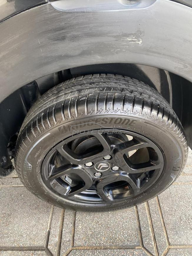C4 cactus à vendre 