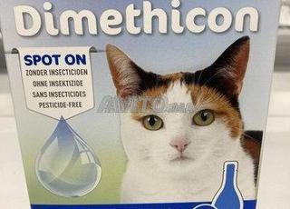 Antiparasites chat efficace 