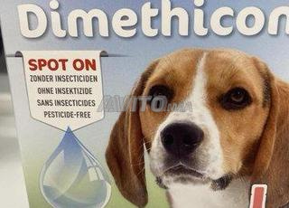 Antiparasites chien efficace 