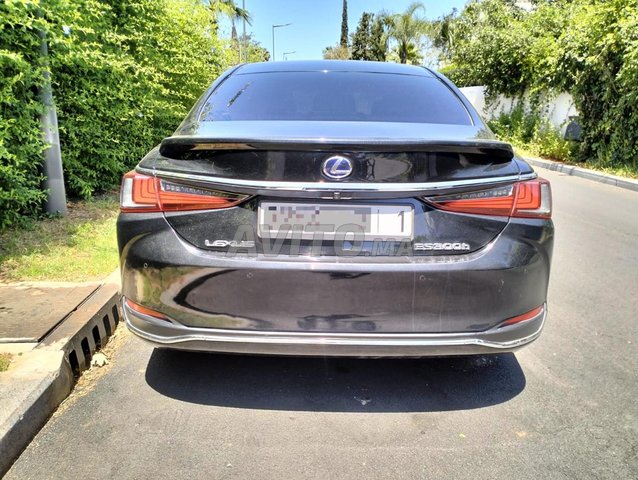 Lexus es occasion Hybride Modèle 2019