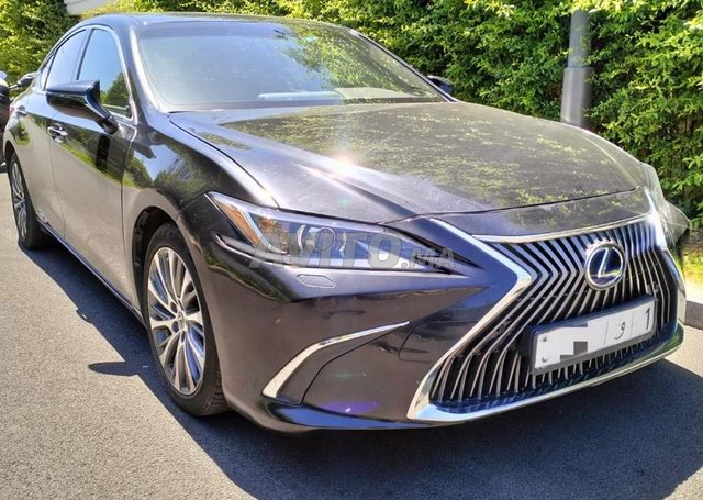 Lexus es occasion Hybride Modèle 2019