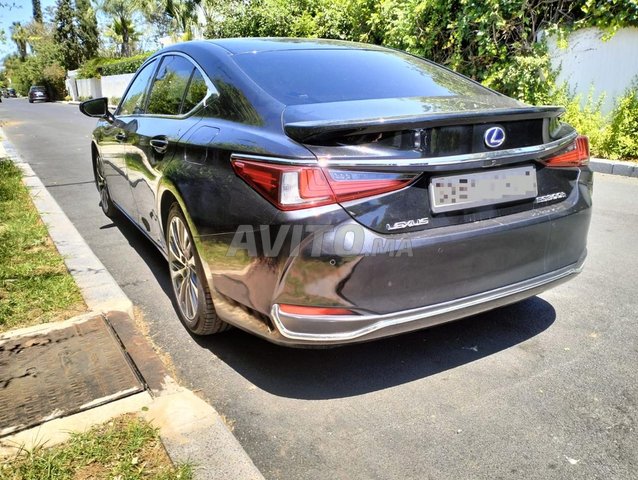 Lexus es occasion Hybride Modèle 2019