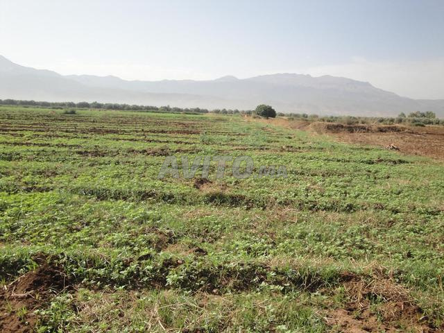 الأراضي الزراعية لل продажة في بني ملال.